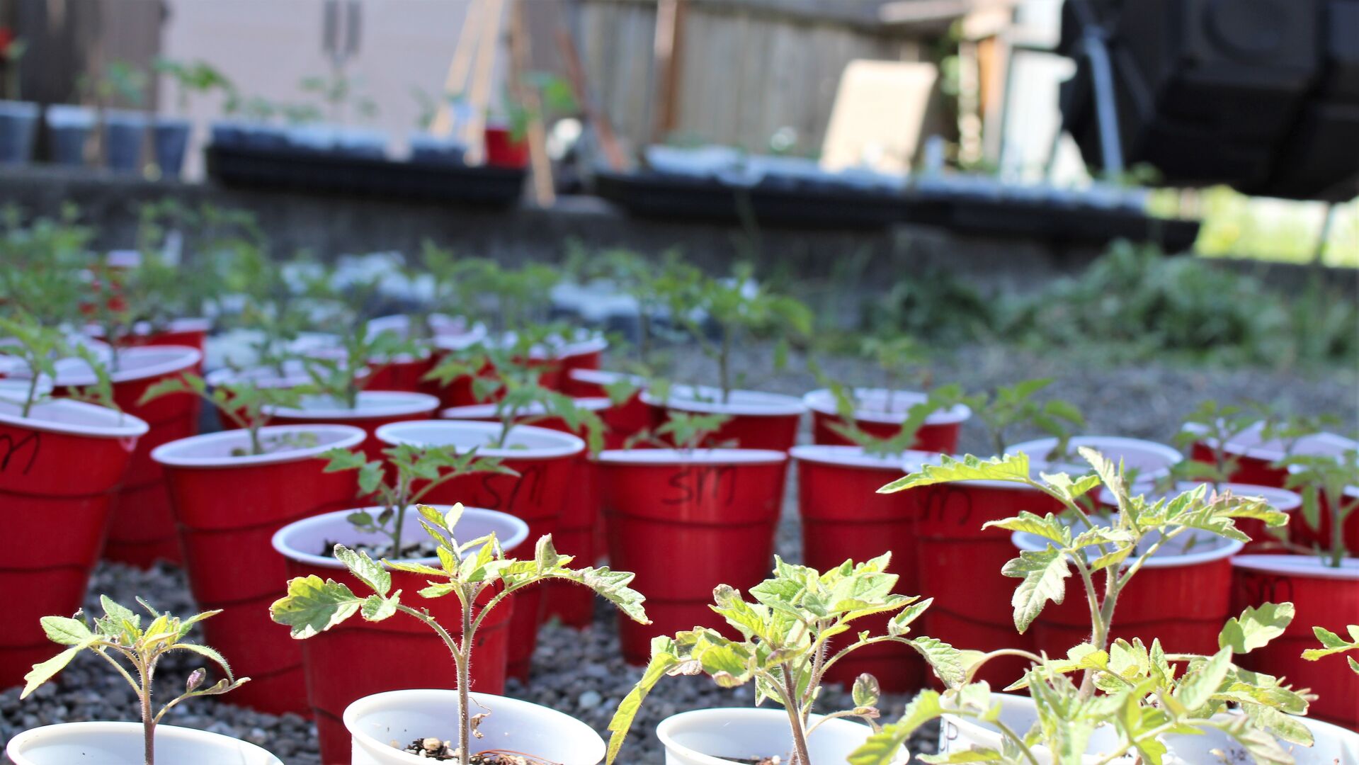 Garden starts at Rainbow House